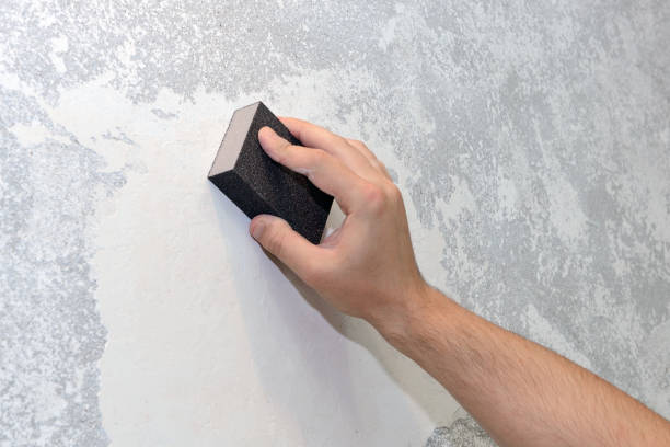 Best Forensic Mold Investigation  in Soldotna, AK