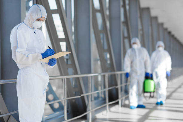 Best Dehumidification Services  in Soldotna, AK