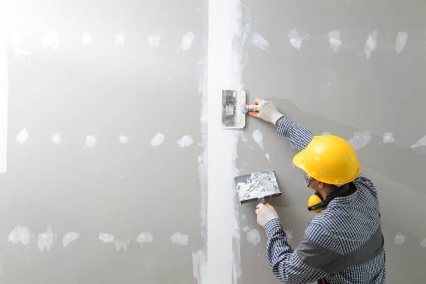 Professional Mold Removal in Soldotna, AK