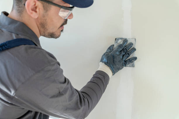 Best Post-Construction Mold Inspection  in Soldotna, AK