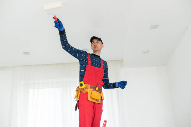 Best Mold Prevention Services  in Soldotna, AK