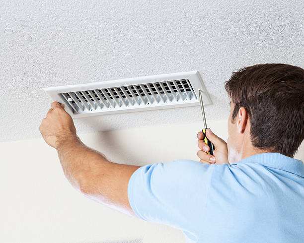 Best Environmental Consulting for Mold Prevention  in Soldotna, AK