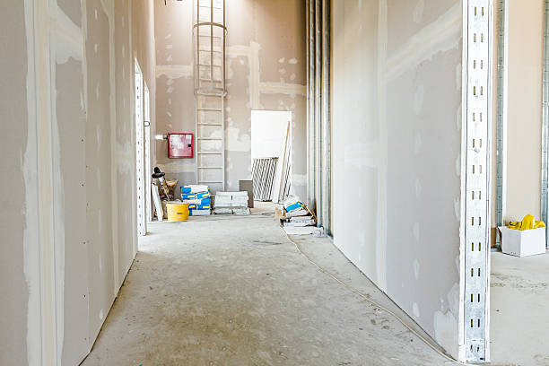 Environmental Consulting for Mold Prevention in Soldotna, AK