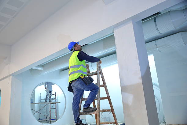 Best Mold Documentation for Insurance Claims  in Soldotna, AK