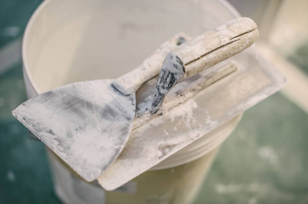 Best Asbestos and Lead Testing During Mold Inspection  in Soldotna, AK
